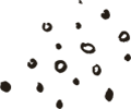 https://wp2.sedaozcan.net.tr/wp-content/uploads/2020/08/floating_image_02.png